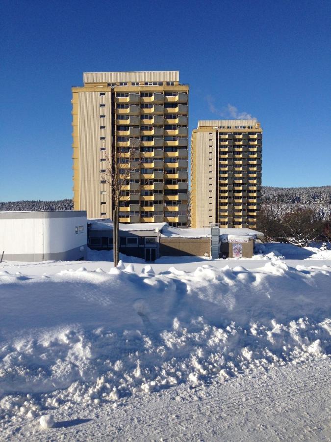 Ferienwohnung "Rodelnde Geiss" Mit Schwimmbad 布劳恩拉格 外观 照片